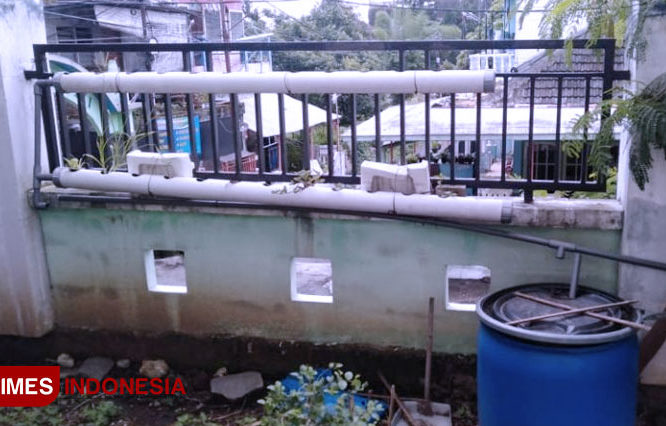 RKM Unisma Malang Kembangkan Pembelajaran Aquaponik di SMAINUS