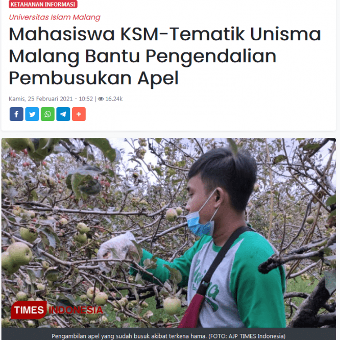 Mahasiswa KSM-Tematik Berikan Solusi Pembusukan Apel