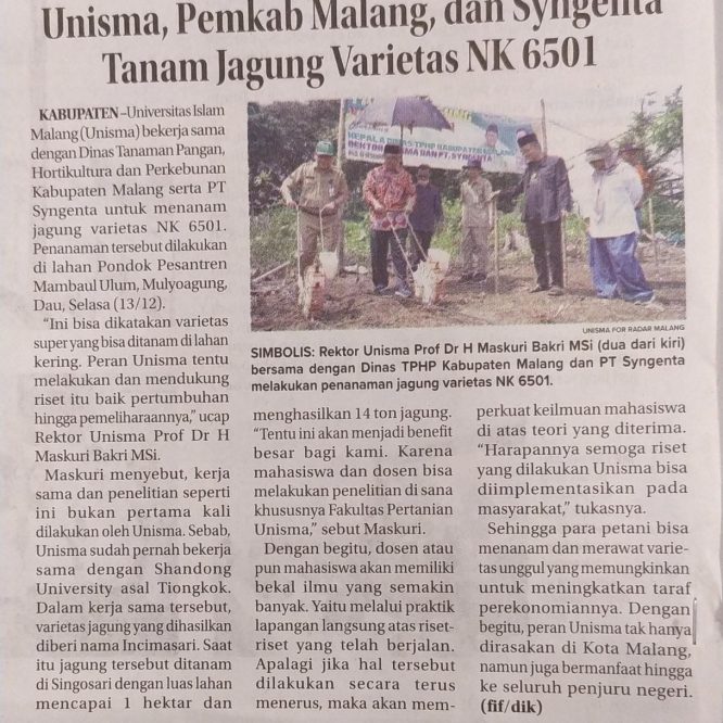Unisma, Pemkab Malang dan Syngenta Tanam Jagung Varietas NK 6501